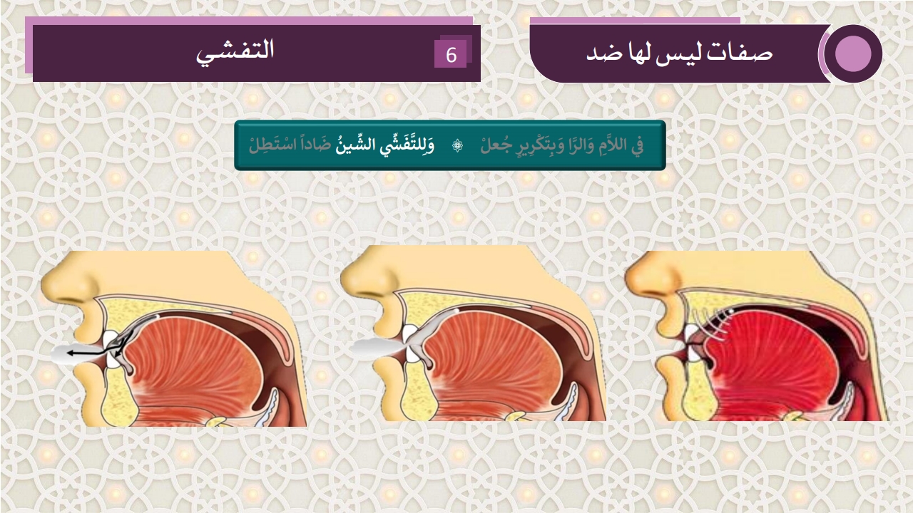 صفات الحروف - الصفحة 24